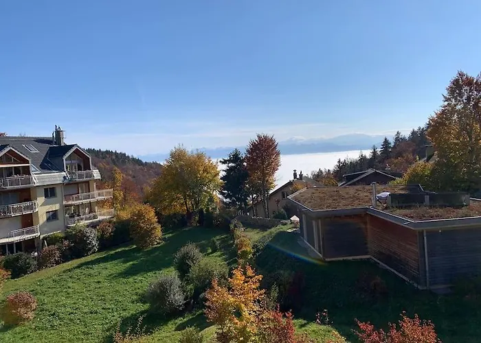 Mountain View Deluxe Appartement Saint-Cergue