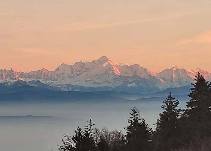 Mountain View Deluxe Appartement *